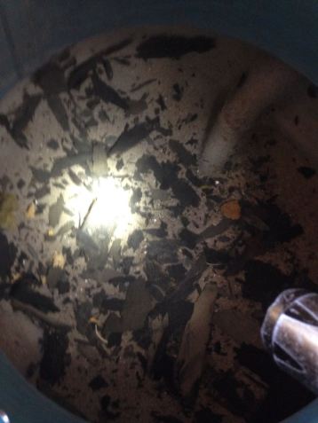 10368973_10152184792677029_1896710833090010273_o