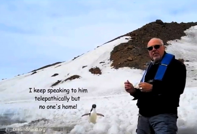 telepathic penguin