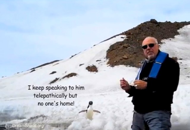telepathic penguin