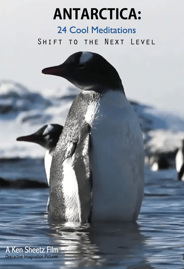 cool poster for vimeo 2