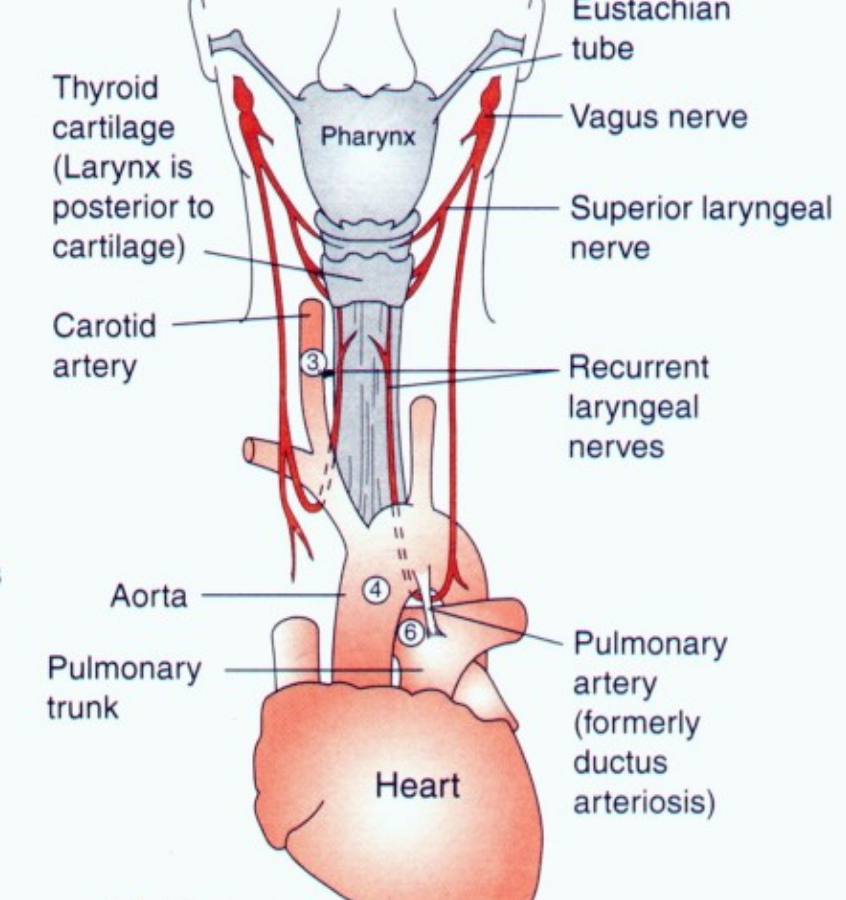 Screen Shot 2019-03-10 at 7.21.42 PM