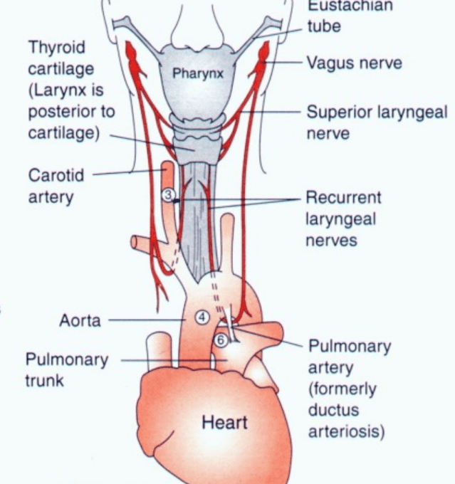 Screen Shot 2019-03-10 at 7.21.42 PM