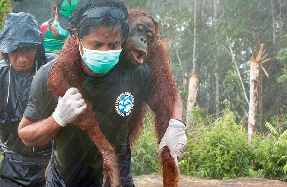 69033232_10219584743474781_5379894013702701056_n