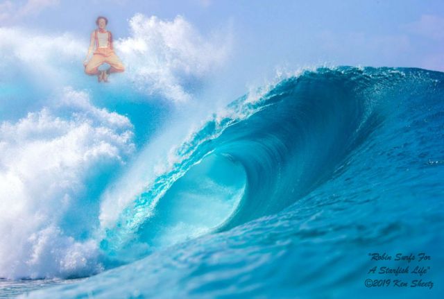 Robin surfs for a starfish life by Ken Sheetz