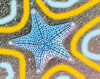 Starfish Answering Machine